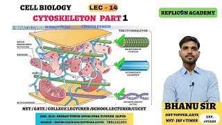 cell bio lec 14 ll cyto skeleton ll microtubule ll cilia flagella ll csirnetlifescience [upl. by Scheck114]