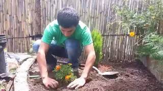 Diseño de Jardines Pequeños  Parte III  Ideas y Consejos [upl. by Senior]