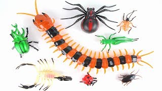 Animal Planet Giant Insect Adventure Fun Bug Toys for Kids Learn Monster Insect [upl. by Rogovy275]