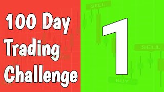 Day 1  100 Day Trading Challenge stockmarket stocksnomadic [upl. by Idoux32]