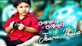 DDD  Jhara Phula  Odia Emotional Song  Film  Golapi Golapi  Amlan amp Riya  ODIA HD [upl. by Arukas391]