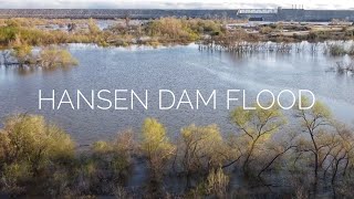 Hansen Dam After the Storm Incredible Aerial Views of a Flooded Landscape [upl. by Alexander]