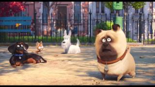 Comme des bêtes  Bande annonce 2 HD VOST [upl. by Burnside33]