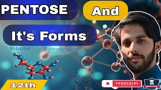 PENTOSES  structure of Ribose and Ribulose  biomolecule biology ribose [upl. by Eednim]