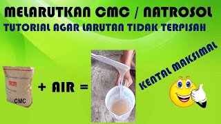 CARA MELARUTKAN CMC  NATROSOL AGAR TIDAK TERPISAH DARI AIR [upl. by Munt]