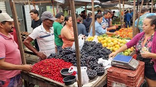 FEIRA DE DOMINGO EM CUPIRA PE [upl. by Olnay]