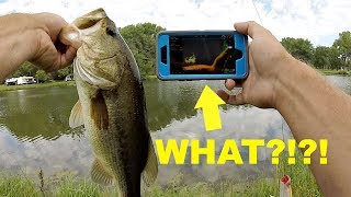 How to Turn Your Phone into a FISH FINDER for Bank Fishing [upl. by Derdle]