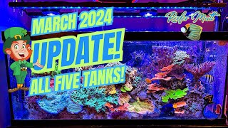 March 2024 Reef Tank Updates’ [upl. by Haibot]