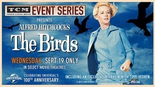 The Birds  TCM Event Series [upl. by Airret132]