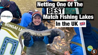 Netting amp Draining One Of The BEST Match Fishing Lakes in the UK  Lindholme Lakes Bonsai lake [upl. by Lotsirhc453]