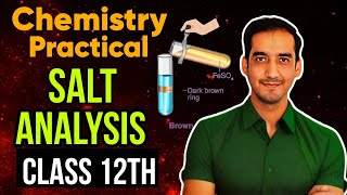 Score 30 in Chemistry Practical 🔥 Salt Analysis  Class 12 CBSE 2024 Sourabh Raina [upl. by Rima]