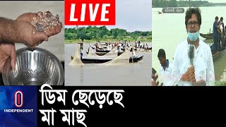 হালদা পাড়ে জেলেদের ঘরে ঘরে ফিরেছে কর্মচাঞ্চল্য  Halda [upl. by Nadeau]