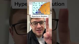 Isotonic Hypertonic Hypotonic Solutions [upl. by Hobey]