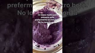 Masa madre para pan con moras silvestres [upl. by Shelton]