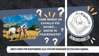 Equindi Domandamelo Come rendere il cavallo più sicuro anche in passeggiata [upl. by Lynnet791]