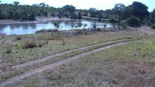 Djuma Private Game Reserve Live Stream [upl. by Artemed413]