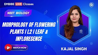 Morphology of Flowering Plants I L2 I Leaf amp Infloresence  Biology  Kajal Singh [upl. by Adeehsar]