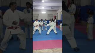 Karate Fight Point Techniques [upl. by Sybila]