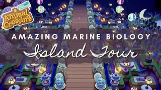 AMAZING MARINE BIOLOGY INSPIRED ISLAND TOUR  Animal Crossing New Horizons [upl. by Ahsirk111]