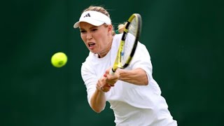 Tennis star hoping to get Wimbledon wildcard pleads for help from tennis chiefs [upl. by Ardehs]