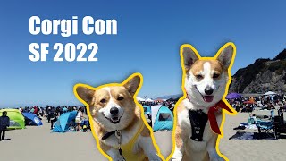 Corgi Con 2022  Corgi Ninja Warrior Costume Contest and Corgi Race [upl. by Eiliak]