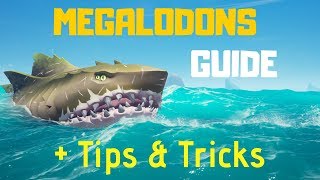 Sea of Thieves  The Shrouded Spoils The new Megalodons GUIDE and how to defeat them solo EASILY [upl. by Nylicaj]