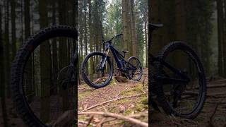 Specialiced Stumpjumper EVO Alloy 2024 Custombike  Mountainbike  Trailbike stumpjumperevo [upl. by Atteloj]