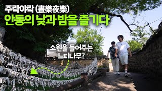 안동홀릭 EP03 주락야락晝樂夜樂 안동의 낮과 밤을 즐기다주락 편 [upl. by Paapanen861]