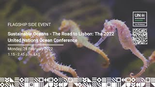 Sustainable Oceans  The Road to Lisbon The 2022 United Nations Ocean Conference [upl. by Ecirtemed510]