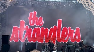 The Stranglers  Peaches Live  Cruel World Festival 2024 [upl. by Lurette]