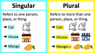 SINGULAR VS PLURAL NOUNS 🤔  Whats the difference Learn with examples [upl. by Nissa247]