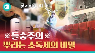 분무형 코로나 소독제 가습기 살균제만큼 위험하다 비머가 알아봄  비디오머그 [upl. by Enitsed]