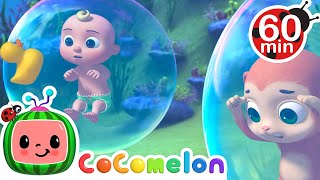 Summer Adventures  JJ Goes SWIMMING  Animals for Kids  Animal Cartoons  Funny Cartoons [upl. by Zillah801]