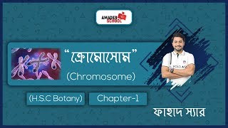 10 Chromosome  ক্রোমোসোম  HSC Botany Chapter 1 [upl. by Lezned]