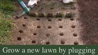 How to grow a new lawn by plugging [upl. by Atinihc]