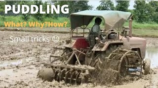 Puddling in AgricultureDefination  Advantages  Rice Puddling [upl. by Martz399]