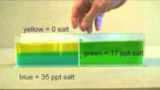 Ocean stratification demonstration salinity and temperature [upl. by Costello]