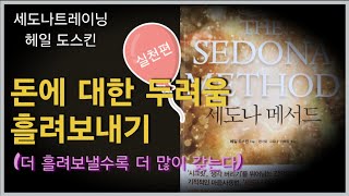 audio book 경제적 자유와 풍요를 위한 미니 코스 세도나 트레이닝 헤일 도스킨 [upl. by Atinek]