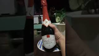 NOVELLINO SPARKLING RED shorts yummy STARamazingVLOG [upl. by Snider659]