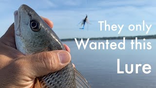 KAYAK FISHING Pascagoula River Marsh in Mississippi A quotFLATS BUGGquot was the only Lure they wanted [upl. by Atikal596]