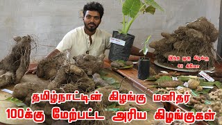 100க்கு மேற்பட்ட அரிய கிழங்கு சேம்பு ரகங்களை பாதுகாத்து வளர்த்து விதை பரவலாக்கம் செய்யும் இளைஞர் [upl. by Mohammad]