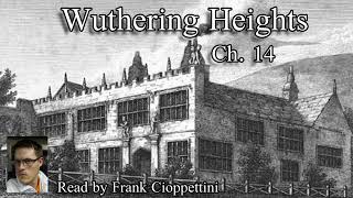 Wuthering Heights  Chapter 14 by Emily Brontë 1847 Audiobook [upl. by Lucius292]