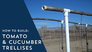 How to Build Tomato and Cucumber Trellises [upl. by Bathilda311]