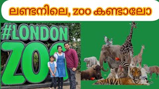 London zooലണ്ടനിലെ ZOO കാഴ്ചകള്‍ zoo london ukvlog viral uk travel travelvlog traveling [upl. by Oglesby]