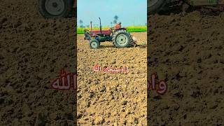 New Holland Al Ghazi 65hp Tractor With 13 Tine CultivatorTractor Working Extra Heavy Dutytractor [upl. by Percy]