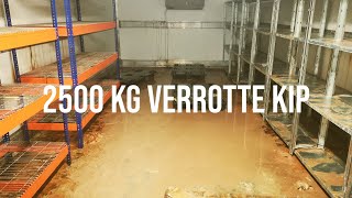 2500 kg bedorven kippenvlees  Vlog 25  Frisse Kater [upl. by Amory]