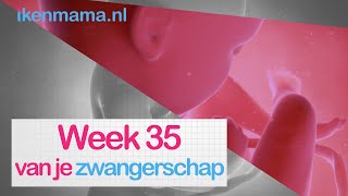 35 weken zwanger  ikenmamanl [upl. by Terese]