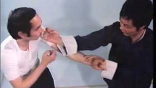 Wing Chun Basic Techniques part 1 [upl. by Nordine231]