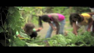 Organic Gardening amp Guerilla Gardening Show TrailerSurvive And Thrive TV [upl. by Suaeddaht684]