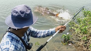 Rohu machli pakadne ka tarika  Rohu fish caching by fisherman  hook fishing  Royal Fisher [upl. by Graves]